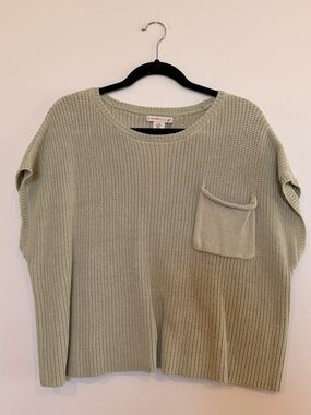 Sincerely Jules Light Sage Knit Crewneck Sweater